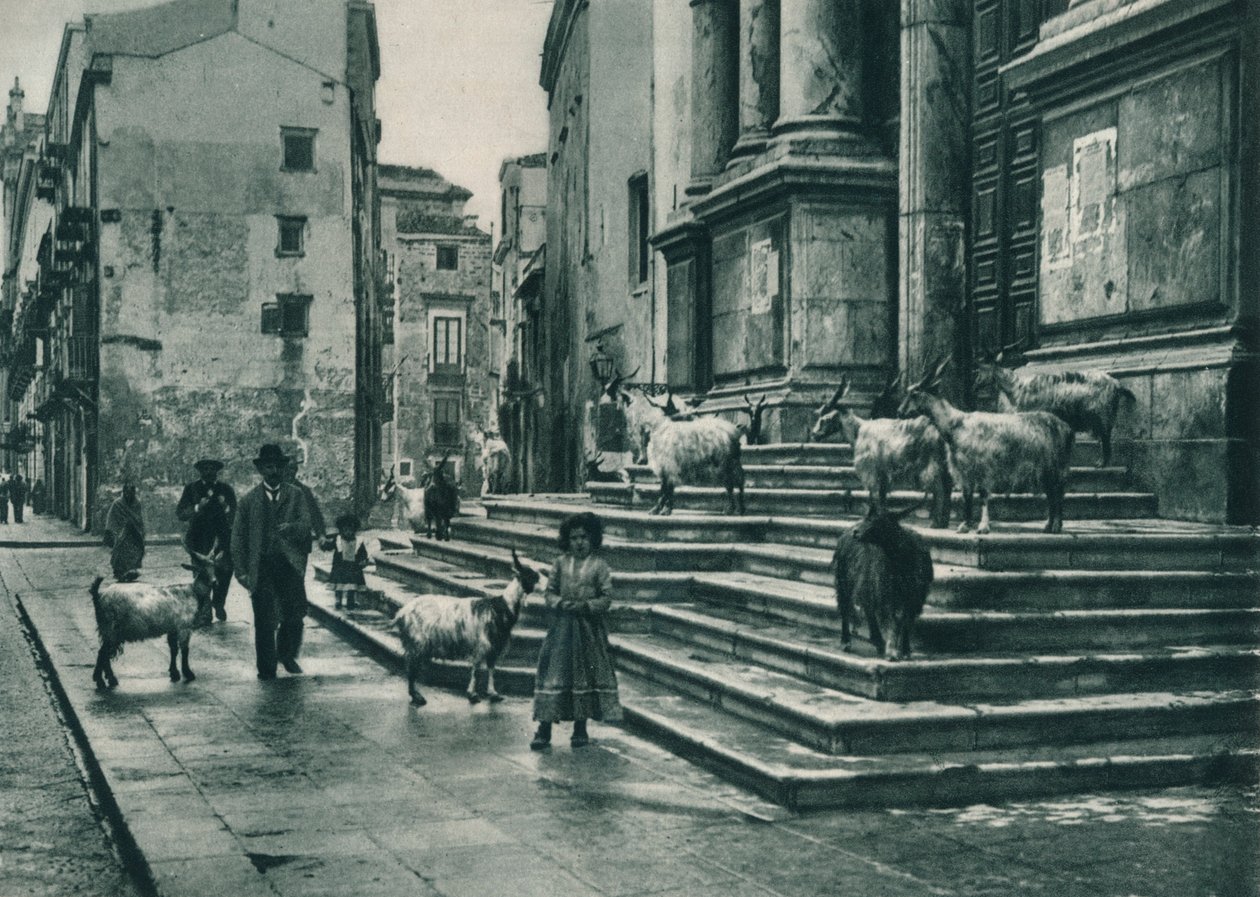 Katedralin merdivenlerinde keçiler, Palermo, Sicilya, İtalya, 1927 by Eugen Poppel