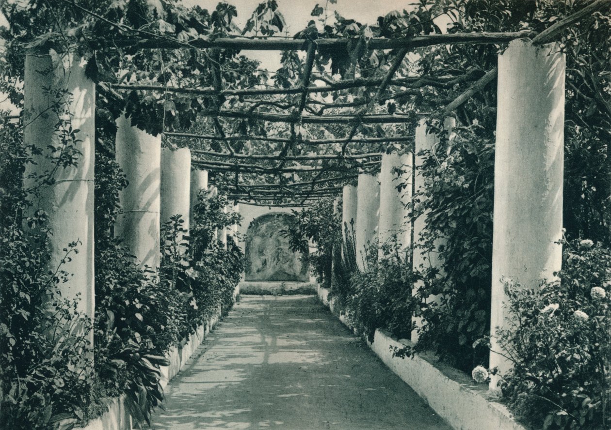 Bir bağdaki çardak, Capri, İtalya, 1927 by Eugen Poppel