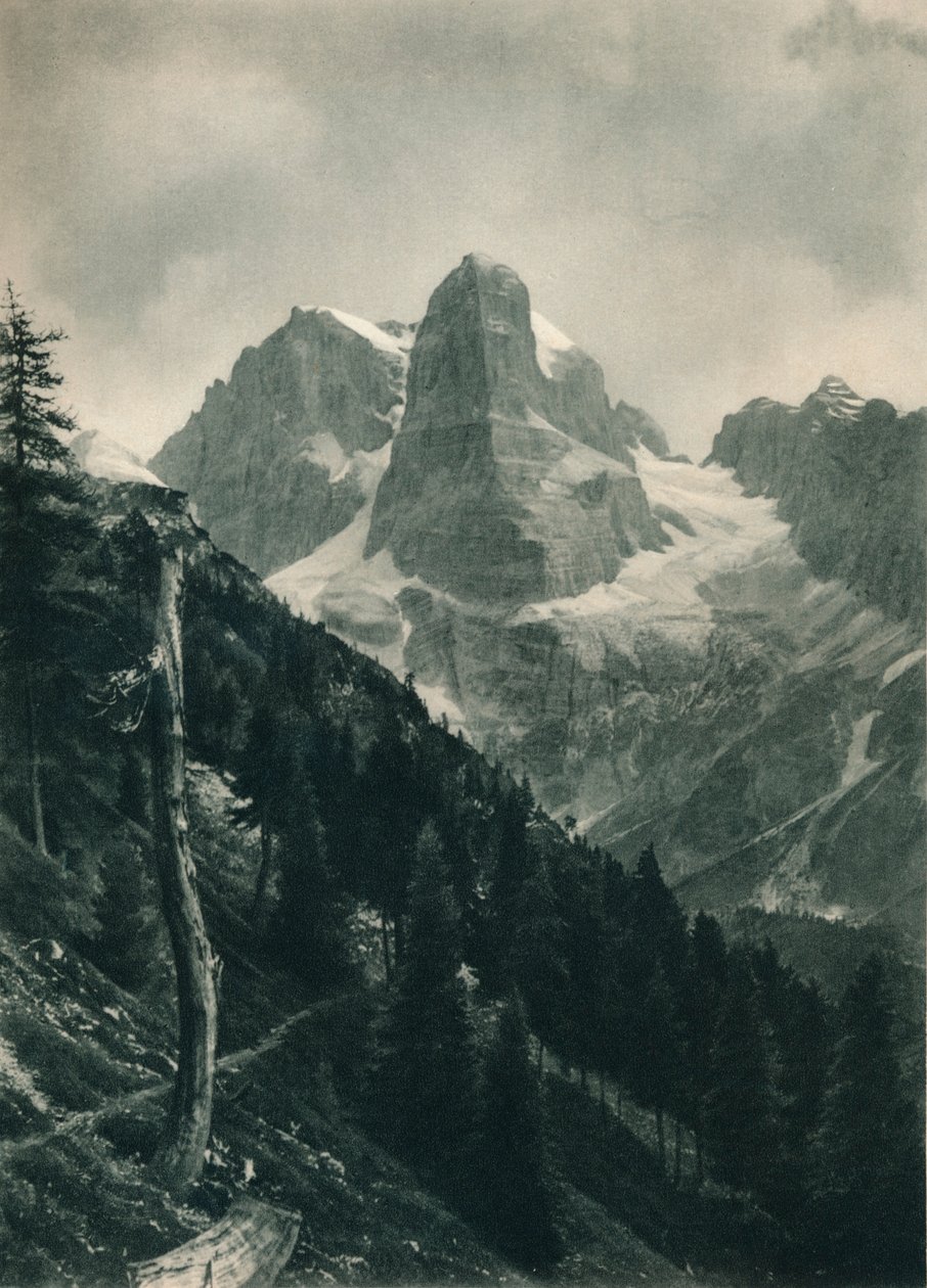 Brenta Grubu