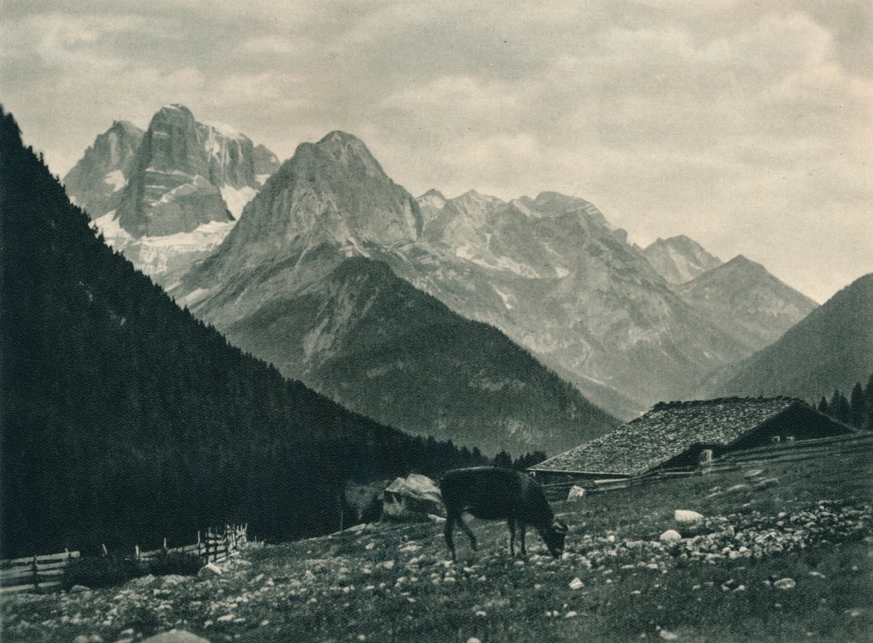 Alp mera ile Brenta Grubu