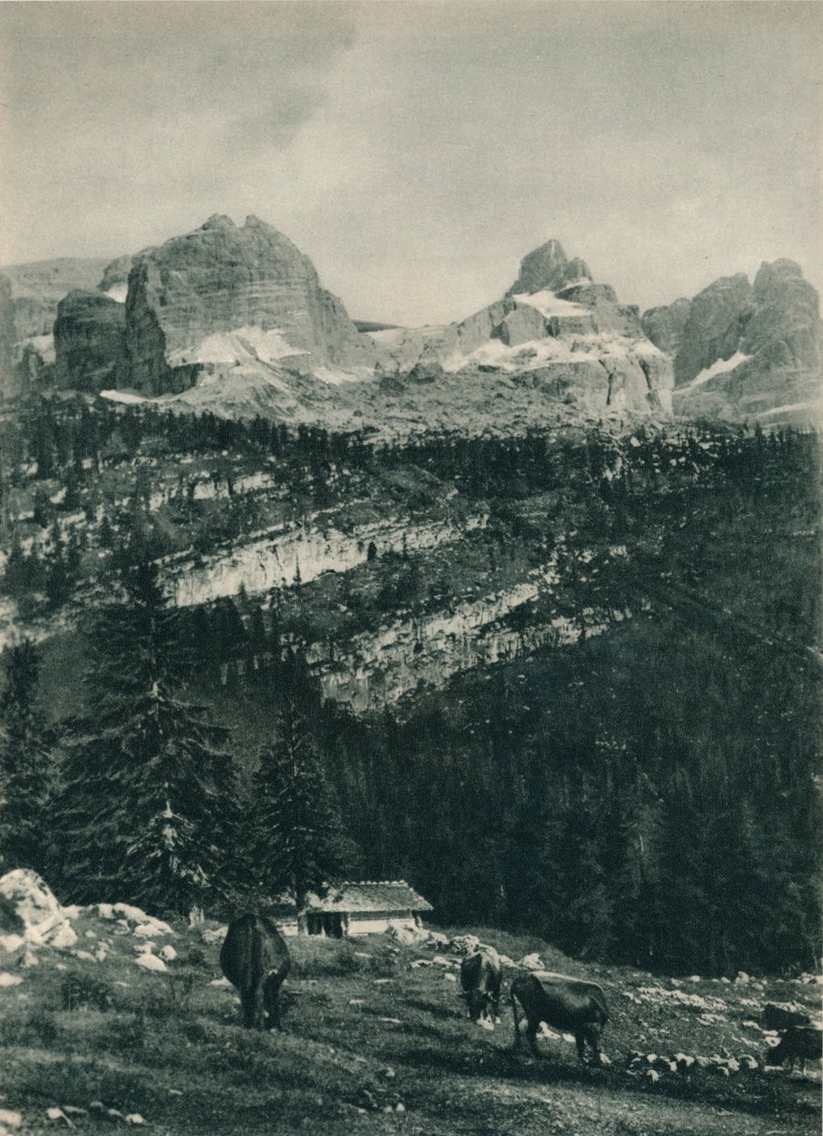 Alp mera ile Brenta Grubu