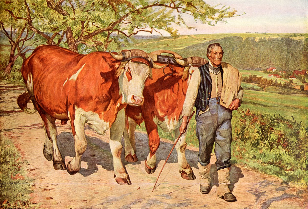 Çiftçi by Eugene Burnand
