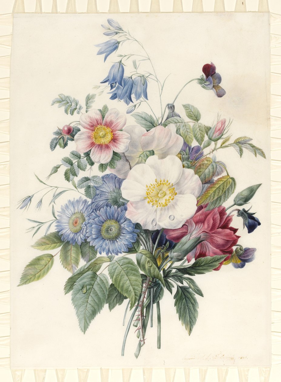 Blue Aster, Rosa Spinosissima Hybrid, Harebell, Violas, Cartnation and a Wild Rose, 1820 (parşömen üzerine grafit dış hat üzerinde wc ve gövde rengi) by Eugene A. L. d Orleans