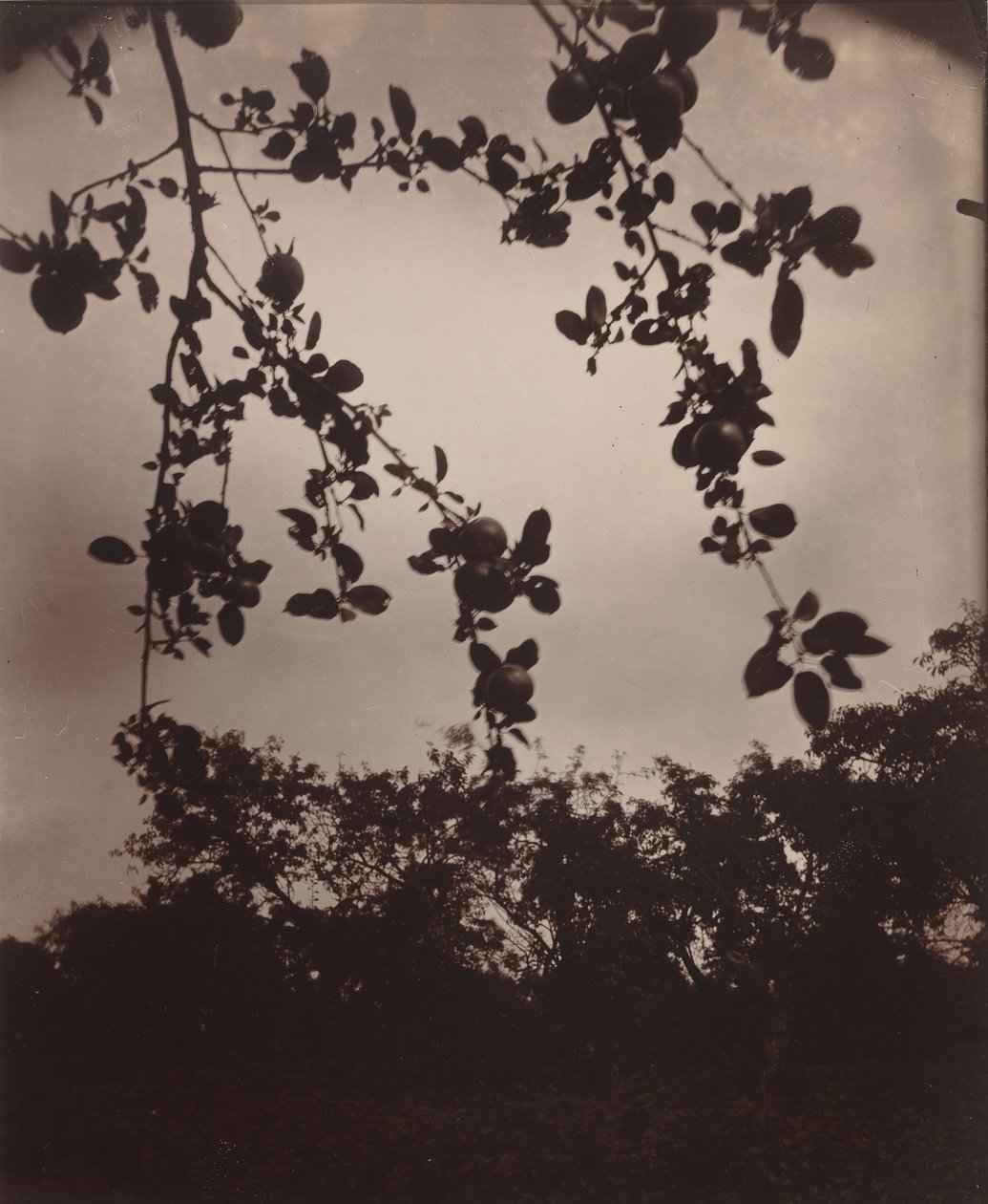  by Eugène Atget