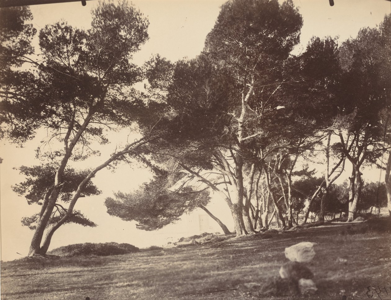  by Eugène Atget