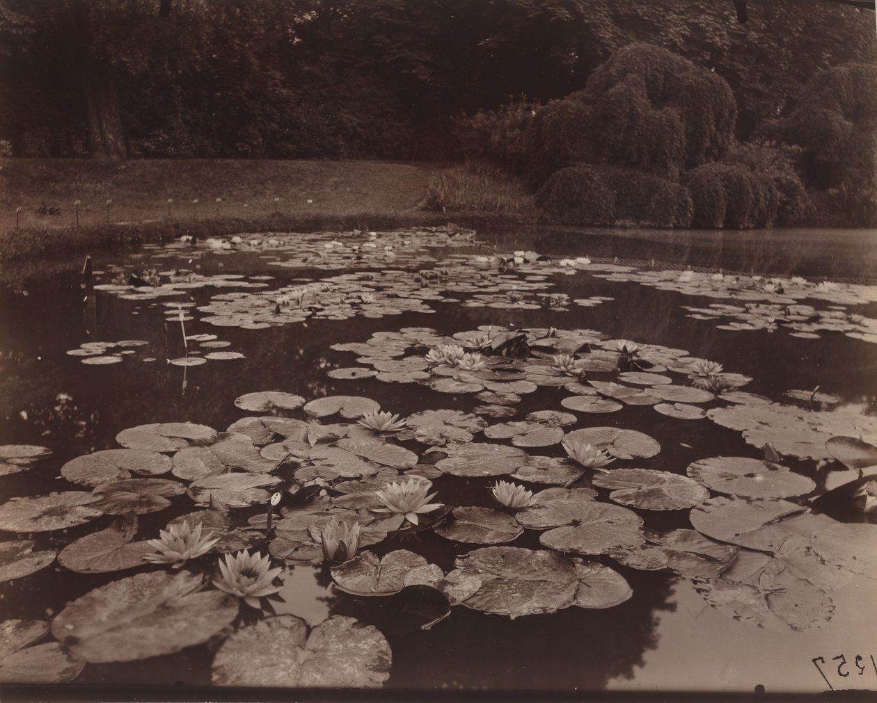  by Eugène Atget