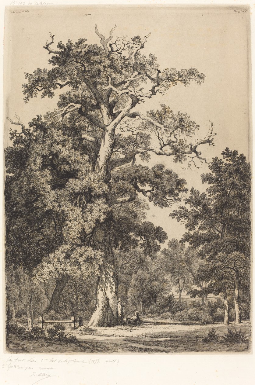 Bois de Boulogne'daki Antik Meşe, 1855. by Eugene Bléry