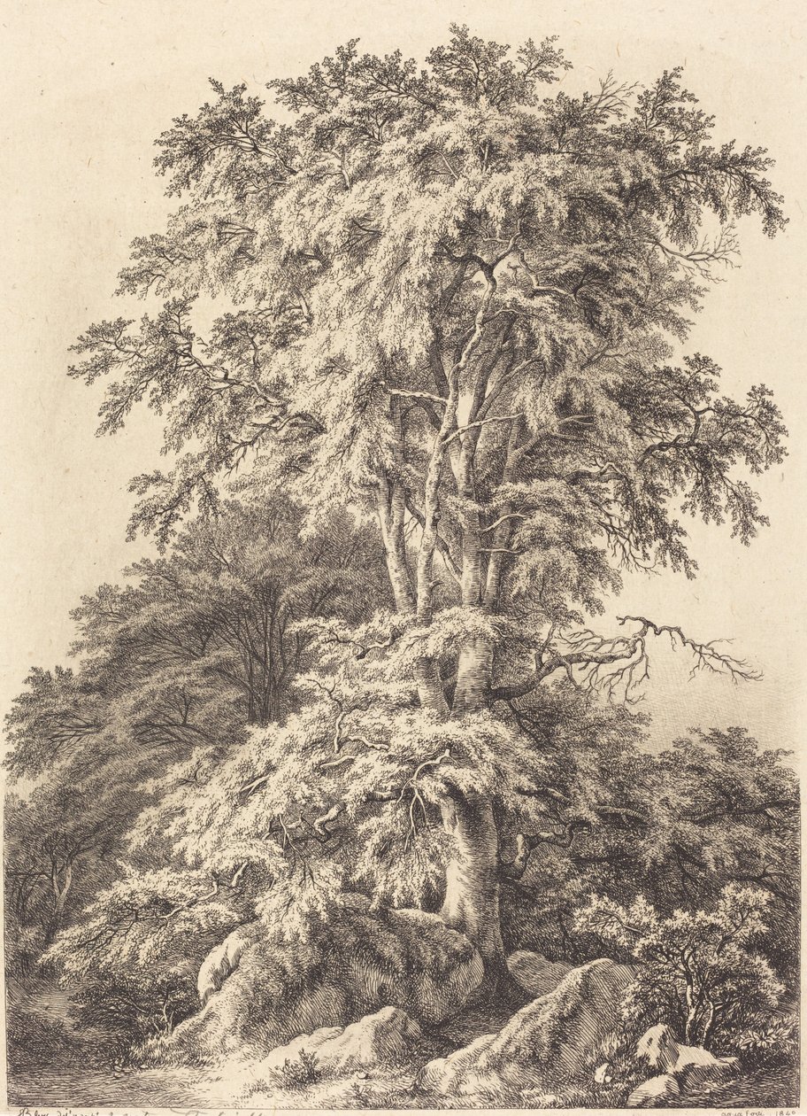 Kayın Korusu, 1840. by Eugene Bléry