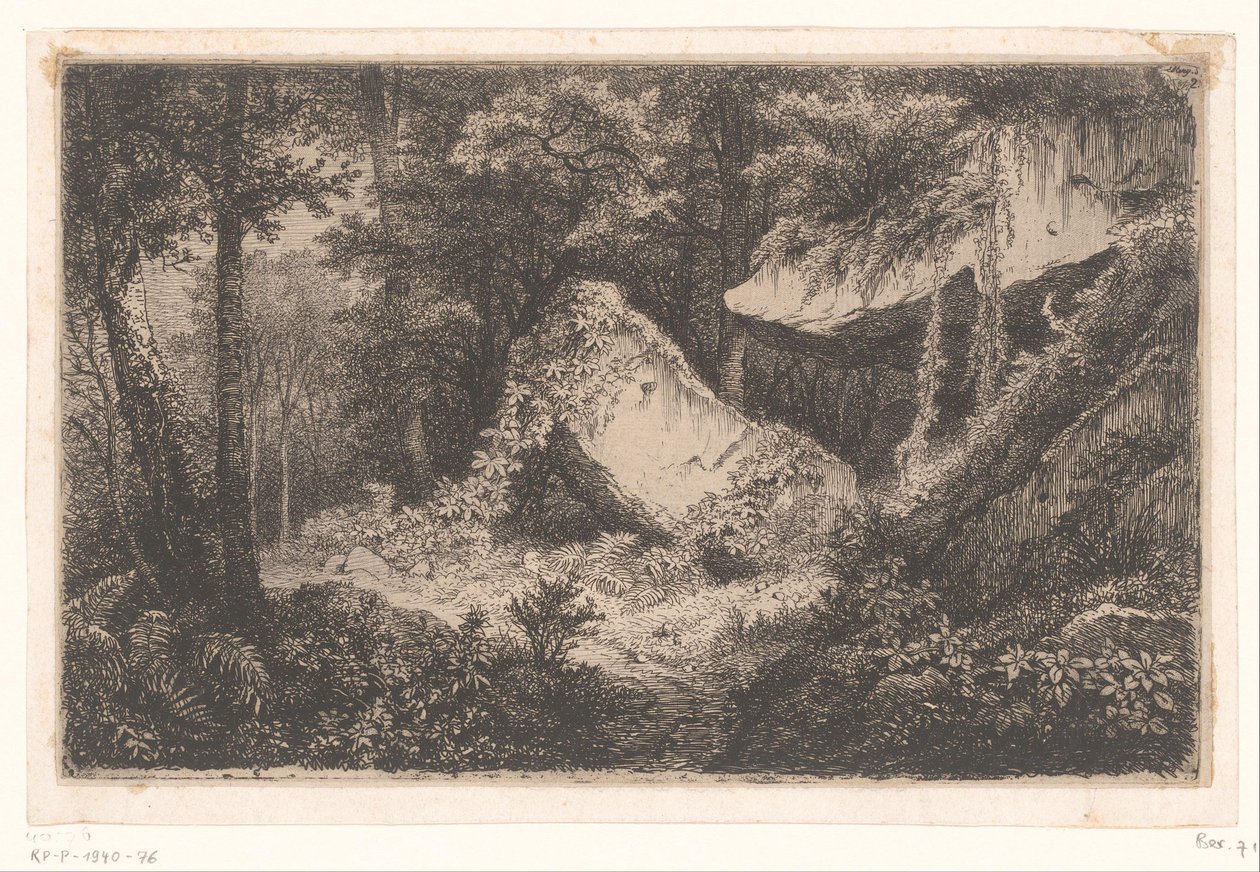 En bos'ta Begroeide rotsen Les Roches, Dampierre yakınlarındaki doğadan Eug tarafından oyulmuş 8 gravürden oluşan süiti beyazlatıyor. Blery (dizi adı) by Eugene Bléry