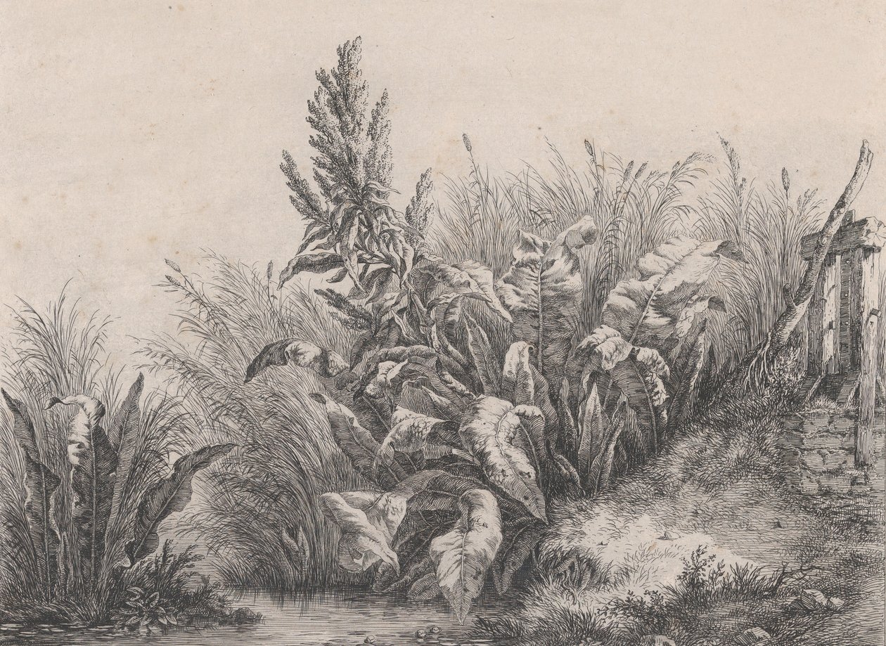 Büyük Su Rıhtım Tesisi, 1840. by Eugene Bléry