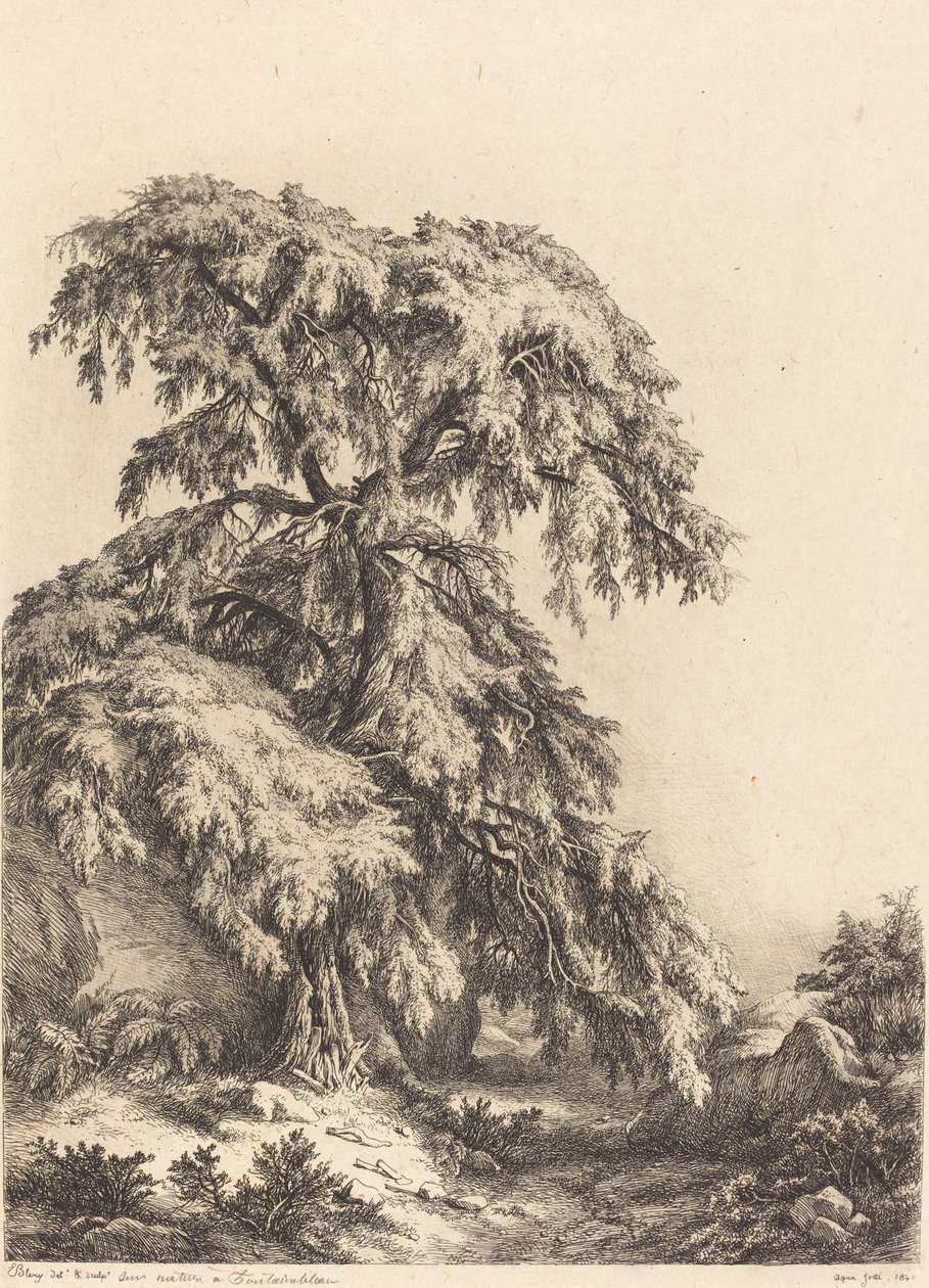 Ardıç Ağacı by Eugene Bléry