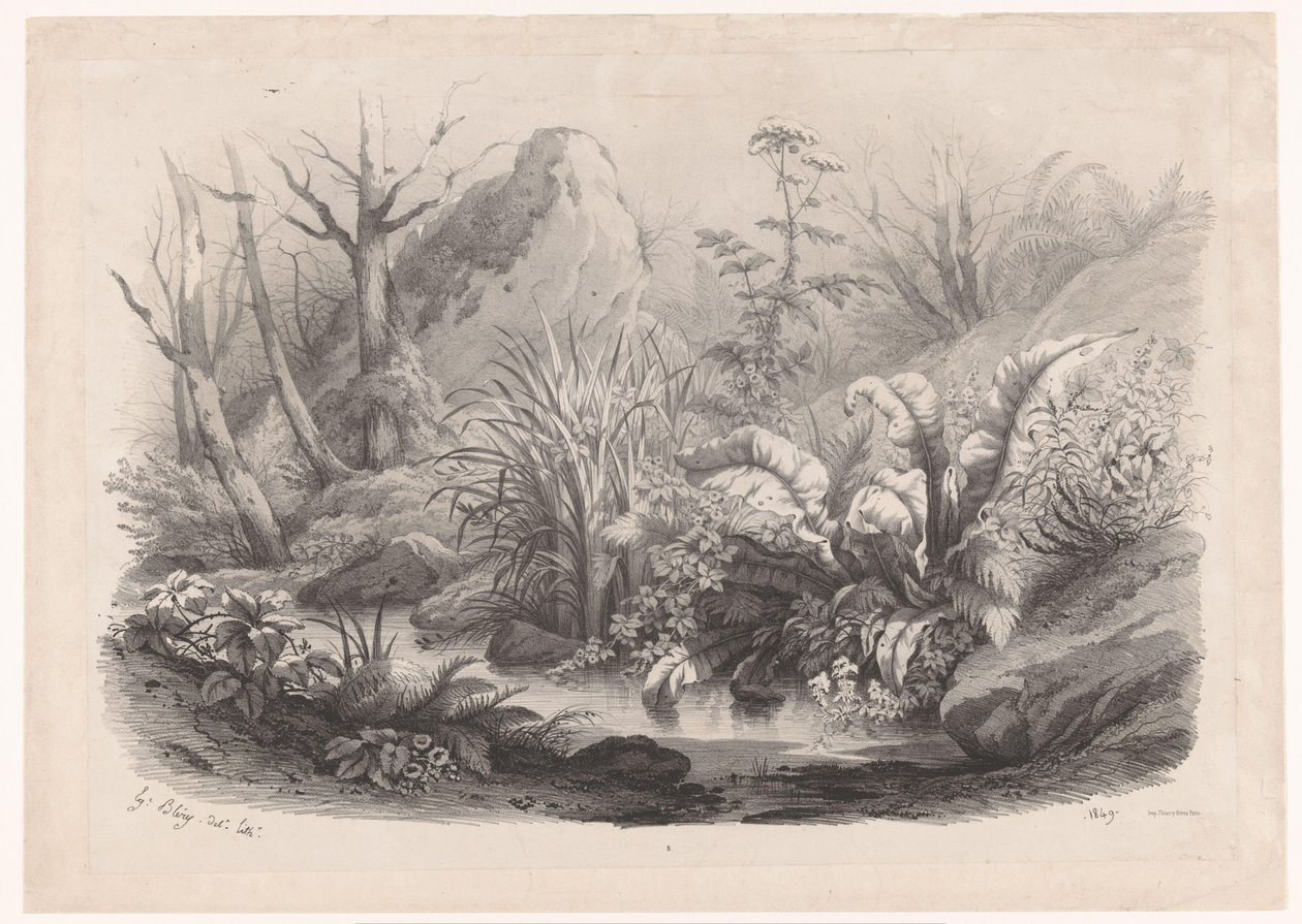 Oeverplanten bij een beek Çeşitli planten (seri başlığı) Doğa üzerine çizilmiş ve taş baskılı çeşitli bitki grupları (seri başlığı) by Eugene Bléry