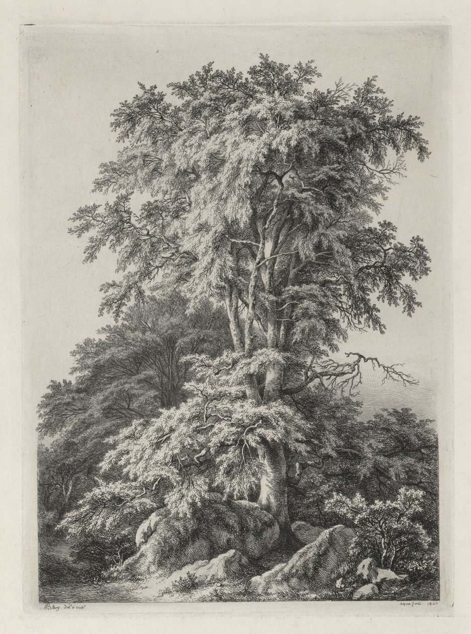 Doğadan Sonra Çizilmiş ve Oyulmuş Çalışmalar: The Beach, Fontainbleau by Eugene Bléry