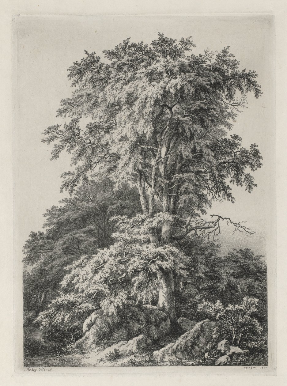Doğadan Sonra Çizilmiş ve Oyulmuş Çalışmalar: The Beach, Fontainbleau..., 1840. by Eugene Bléry