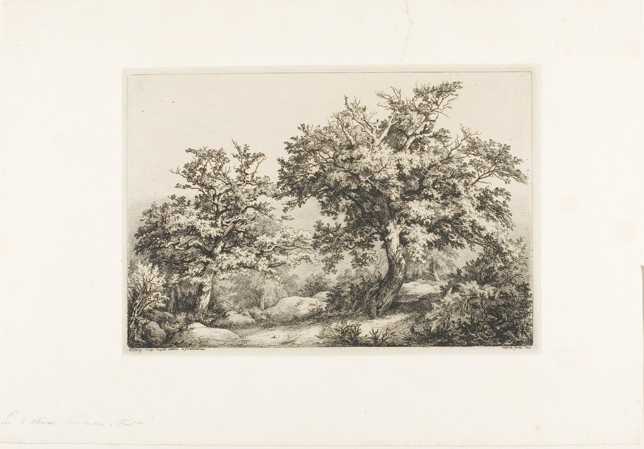 İki Meşe, Fontainebleau by Eugene Bléry