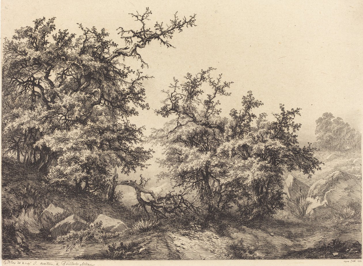 Dikenli çalılar, 1840. by Eugene Bléry
