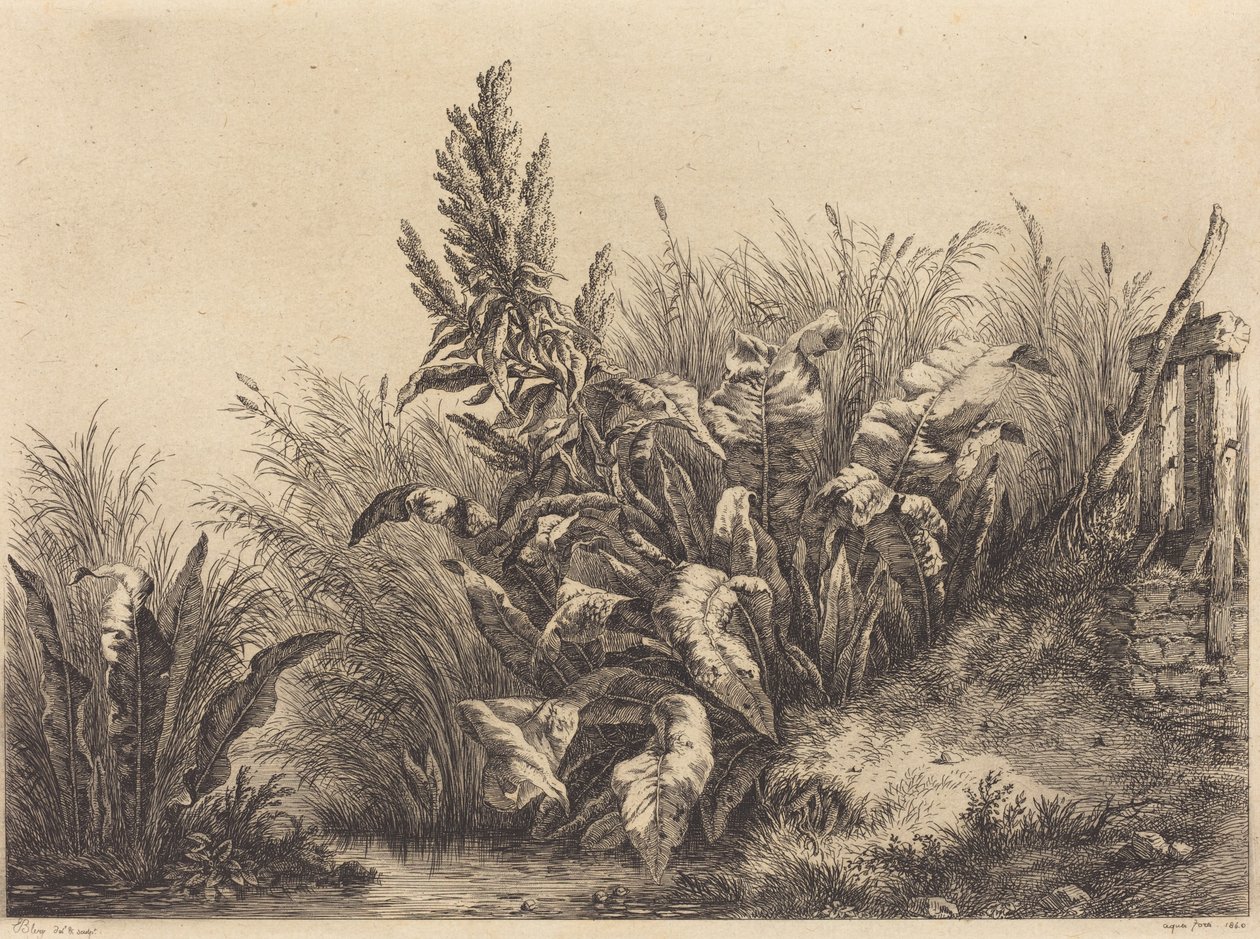 Su İskelesi, 1840. by Eugene Bléry