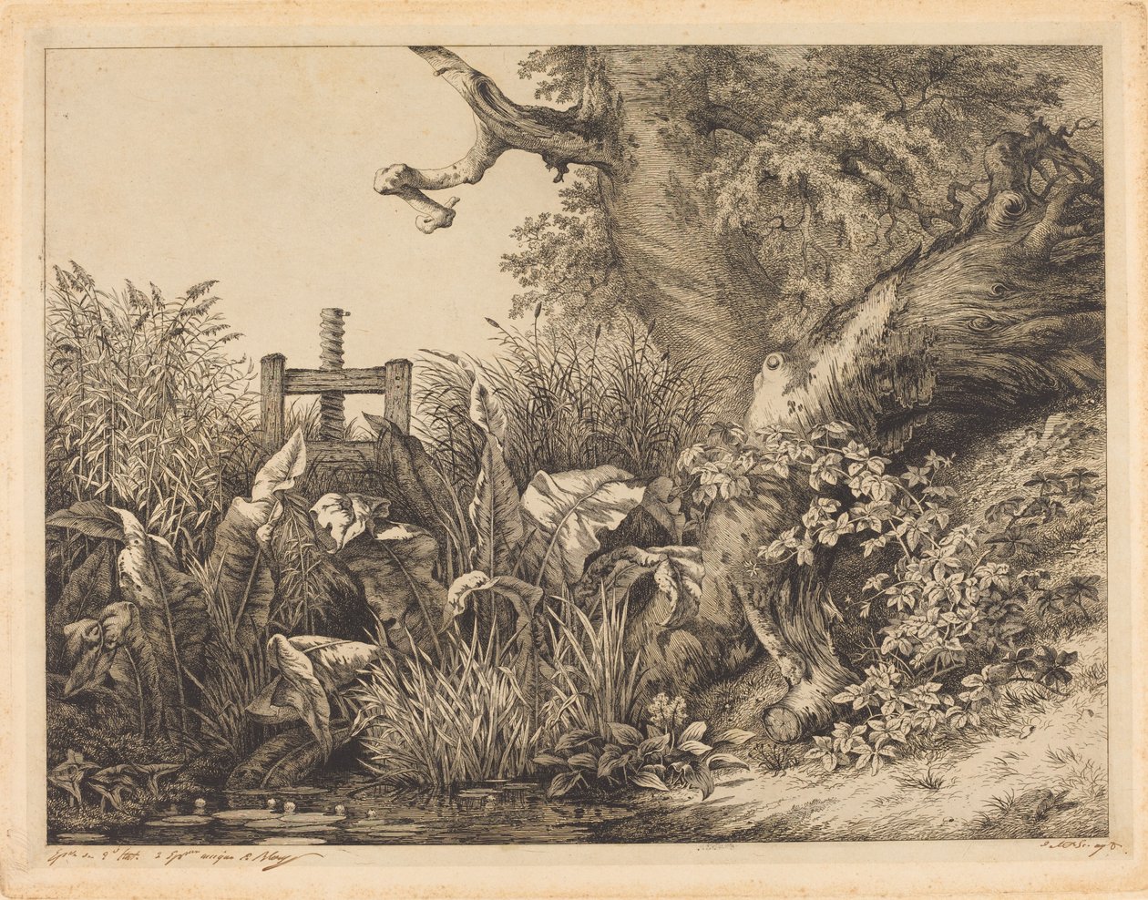 Bir Kanalda Su İskelesi ve Brambles by Eugene Bléry