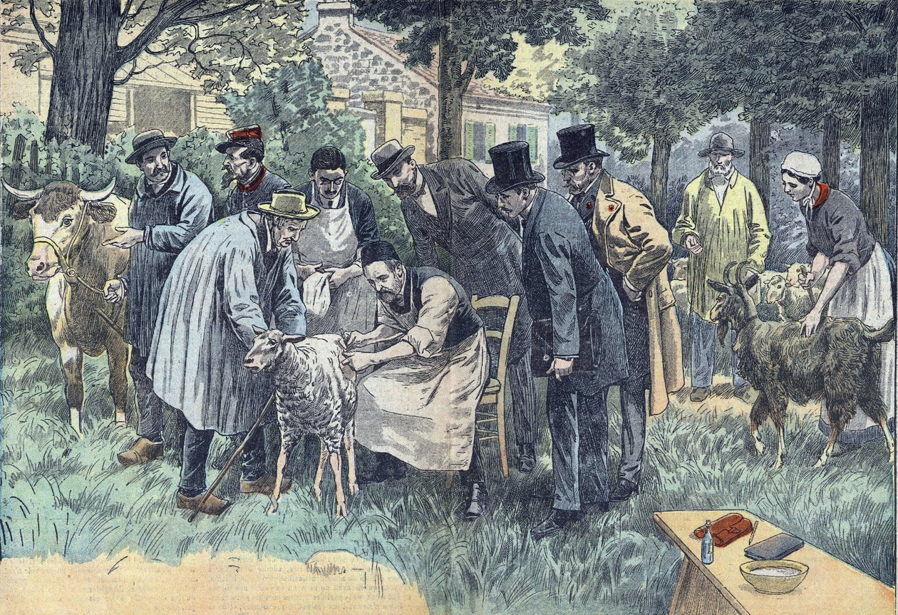 Louis Pasteur (1822-1895), Fransız biyolog, Melun Tarım Derneği