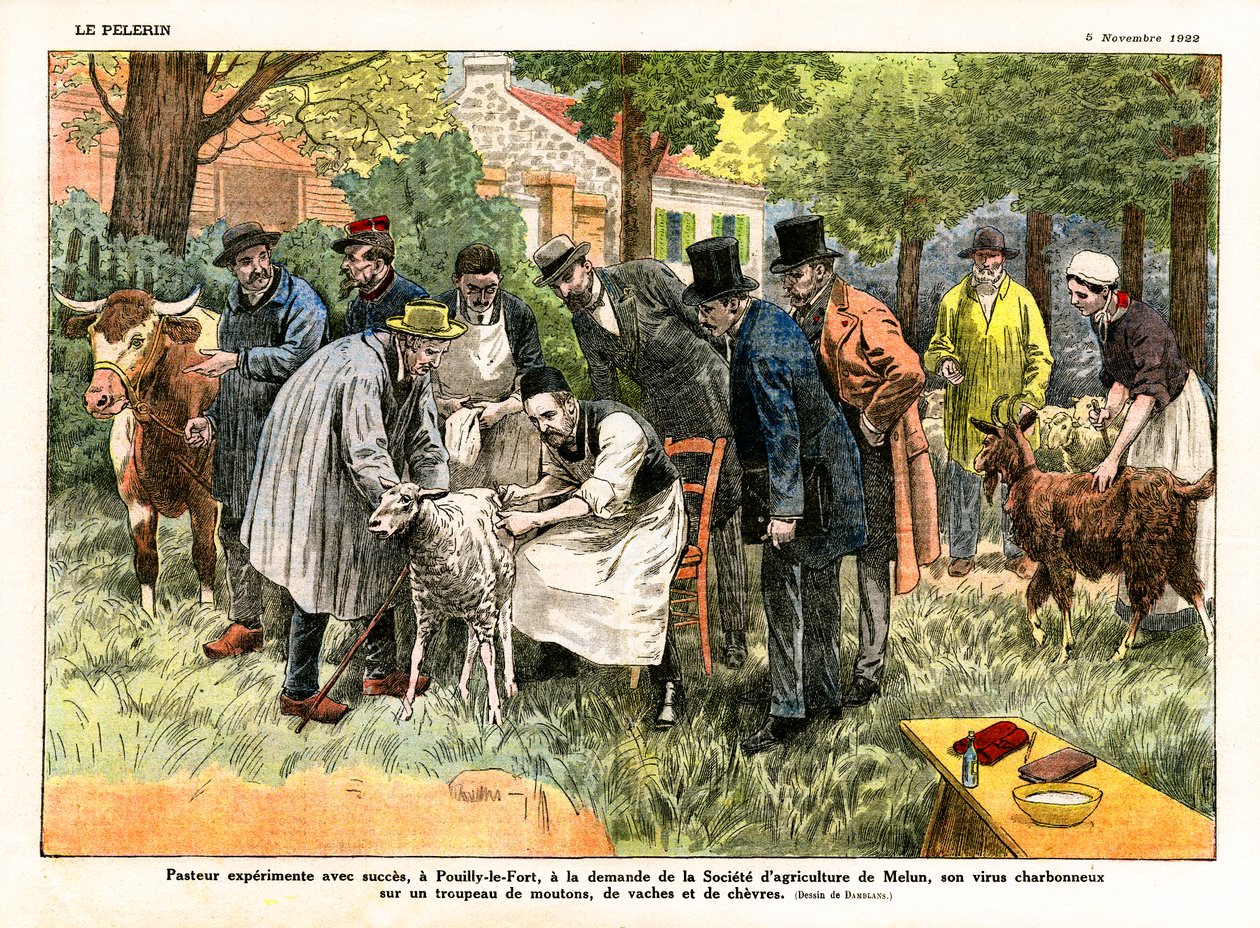 Louis Pasteur şarbon virüsü ile deneyler yapıyor by Eugene Damblans
