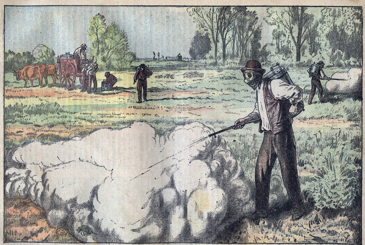 Şafakta boğucu gaz tarafından mulotların (Apodemus) yok edilmesi - Damblans tarafından gravür - 1923 le-pelerin by Eugene Damblans