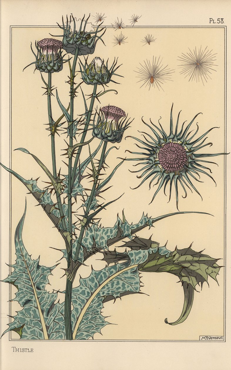 Devedikeni botanik çalışması by Eugene Grasset