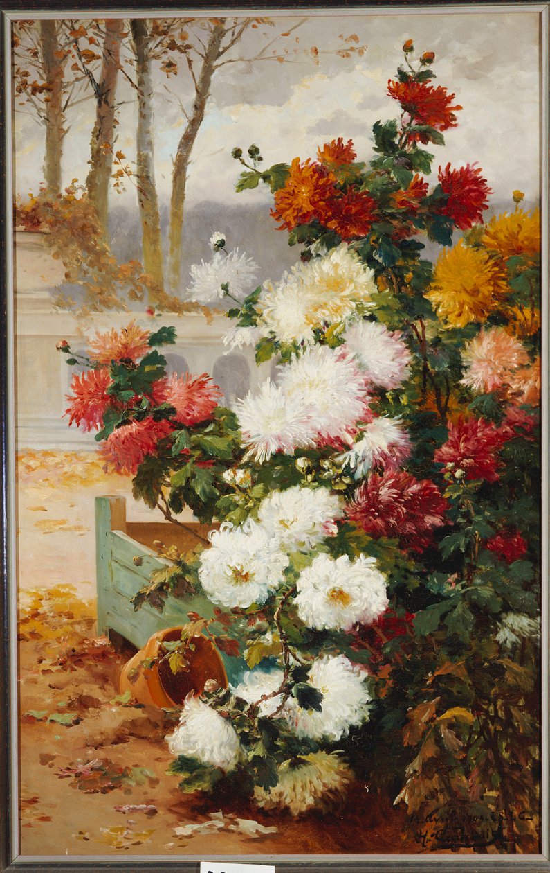 Duvarlarla çevrili bir bahçede krizantemler by Eugene Henri Cauchois