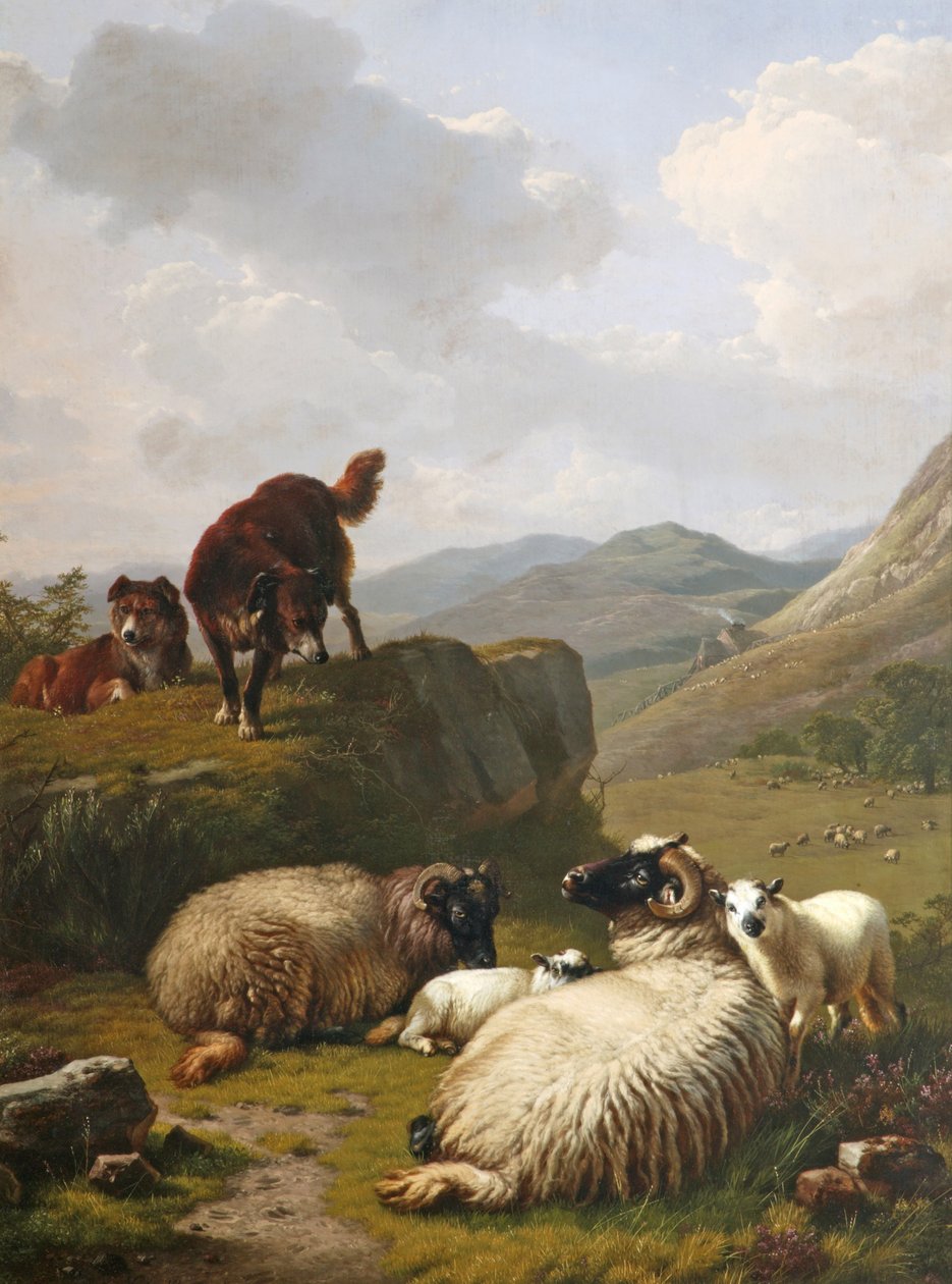 Koyun ve köpekler by Eugene Joseph Verboeckhoven