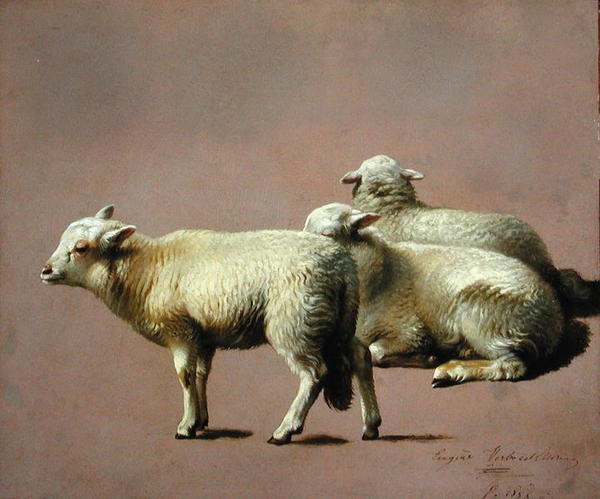 Koyun Çalışması by Eugene Joseph Verboeckhoven