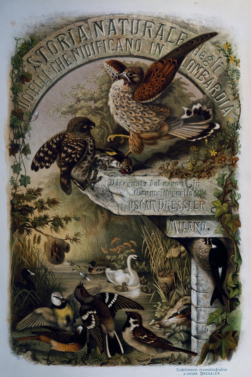 Eugenio Bettoni (1845-1898) tarafından Lombardiya