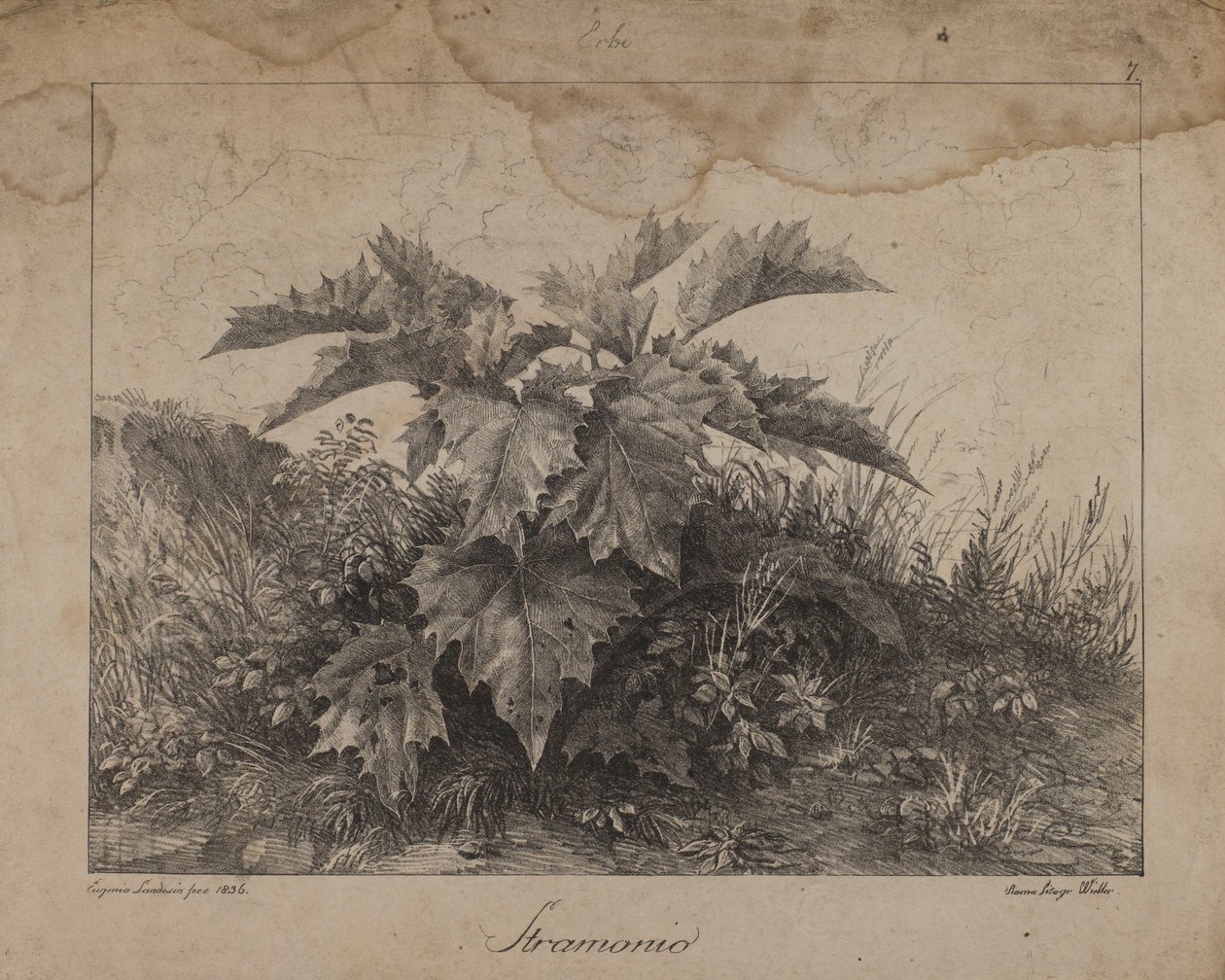  by Eugenio Landesio
