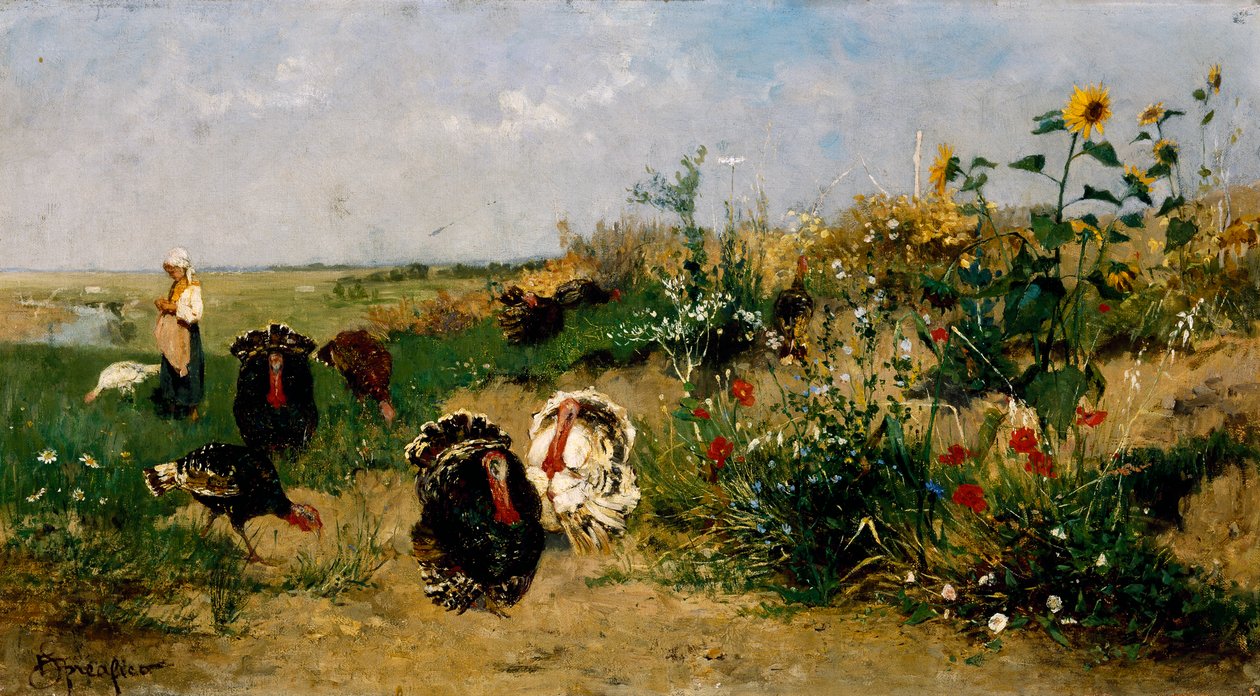 türkiye by Eugenio Spreafico