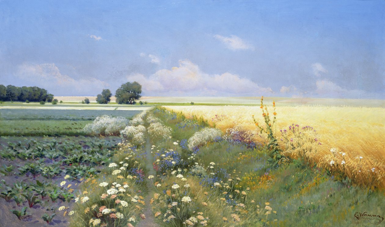 Yaz Manzarası by Eugeniusz Wrzeszcz