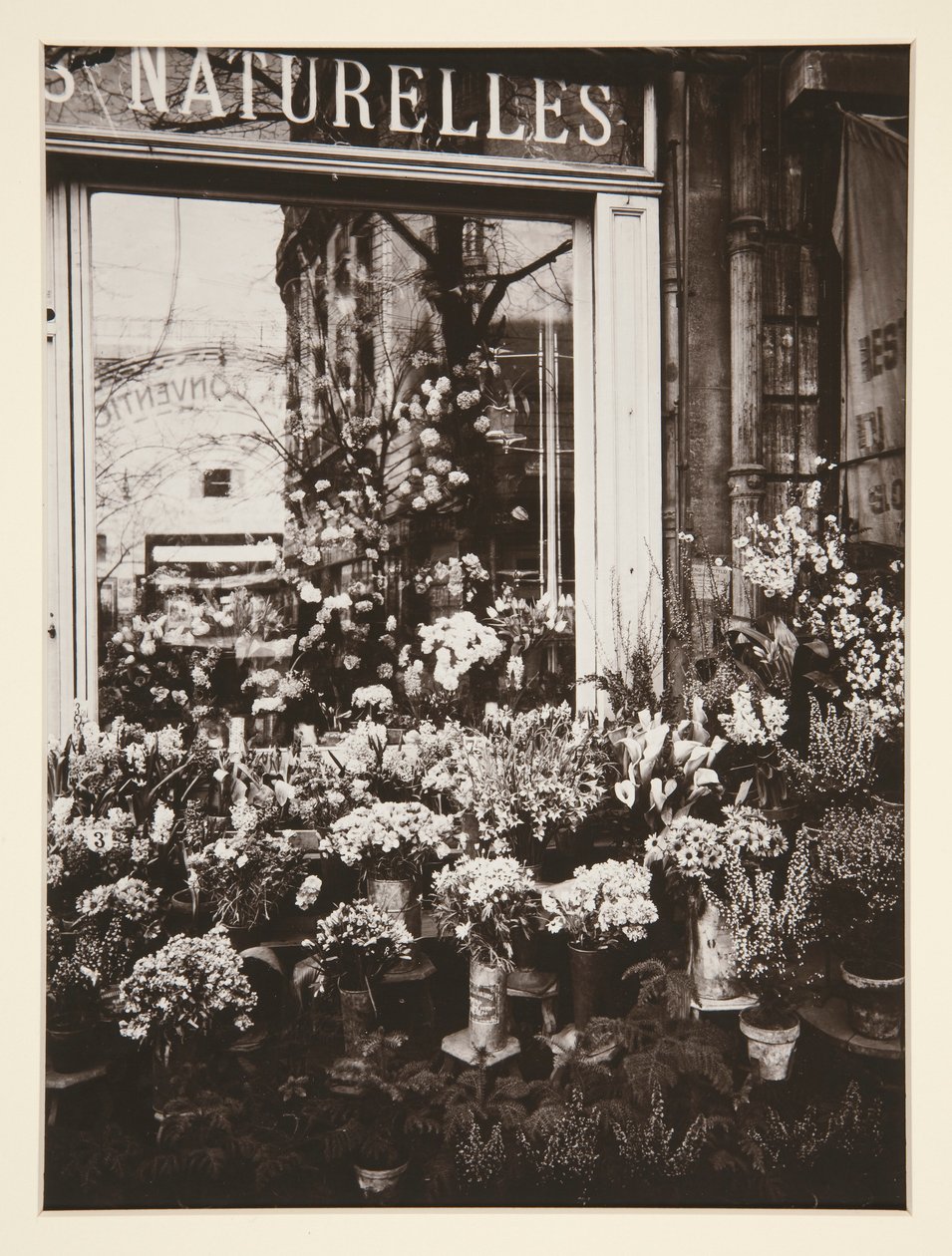 Çiçekçi -37 (Çiçekçi) by Eugène Atget