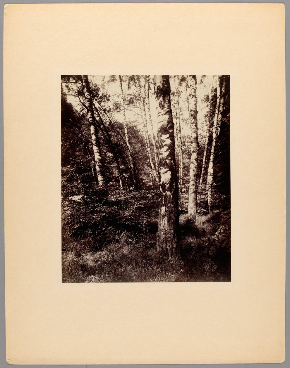  by Eugène Atget