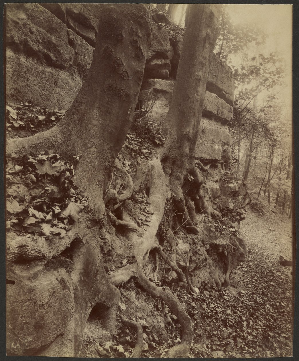  by Eugène Atget