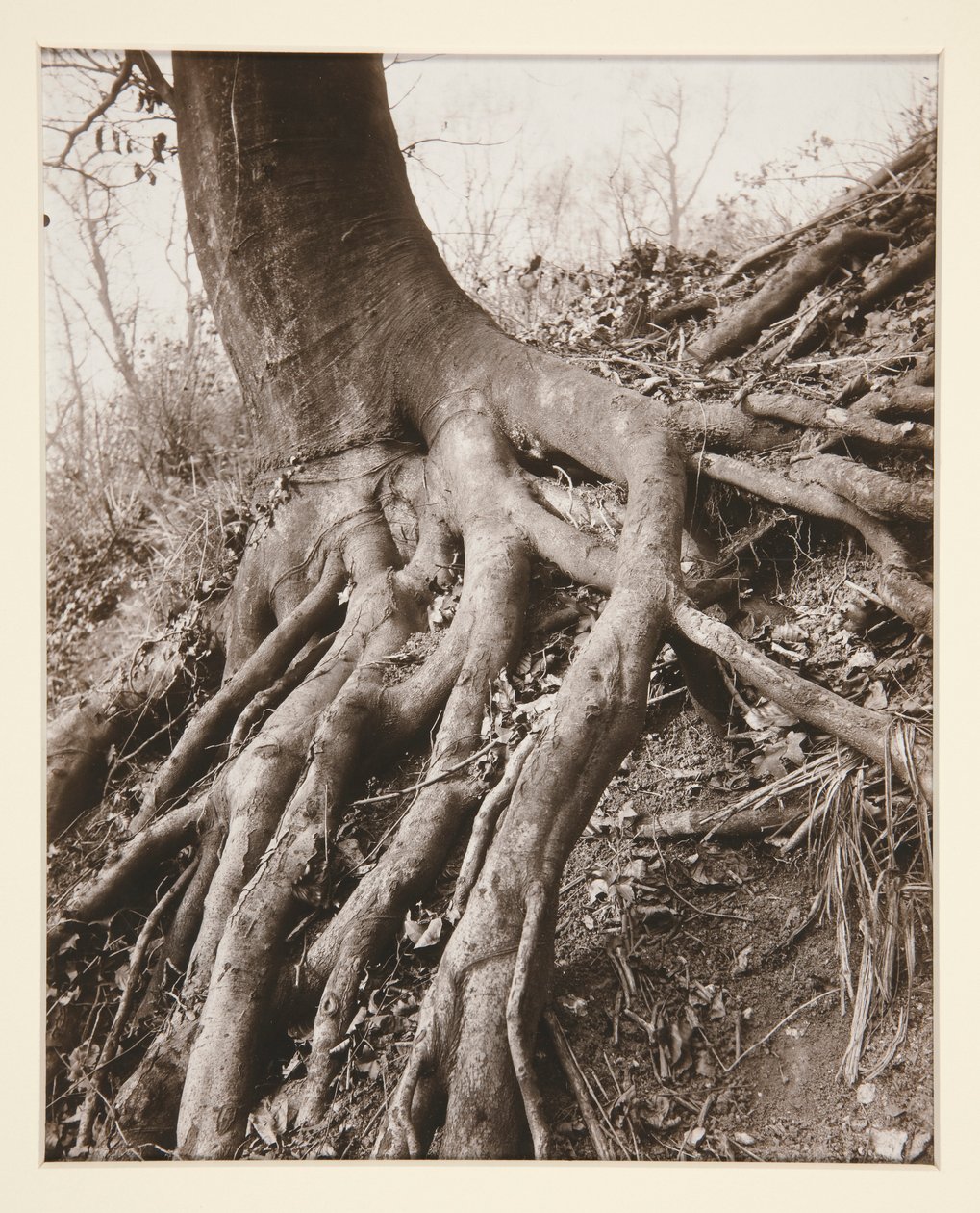 Saint-Bulut by Eugène Atget
