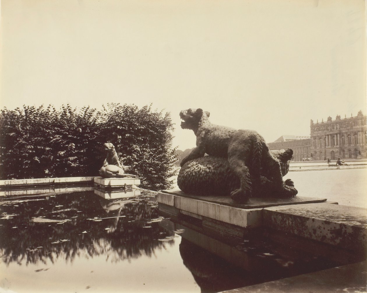 Versailles, Fontaine du Point du Jour, Tiger Slaying a Bear, Houzeau, 1903. by Eugène Atget