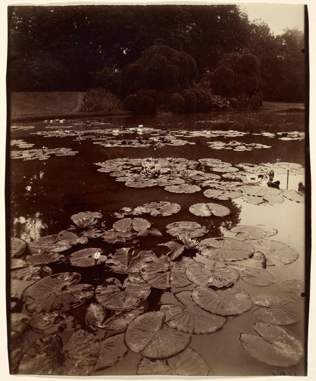  by Eugène Atget