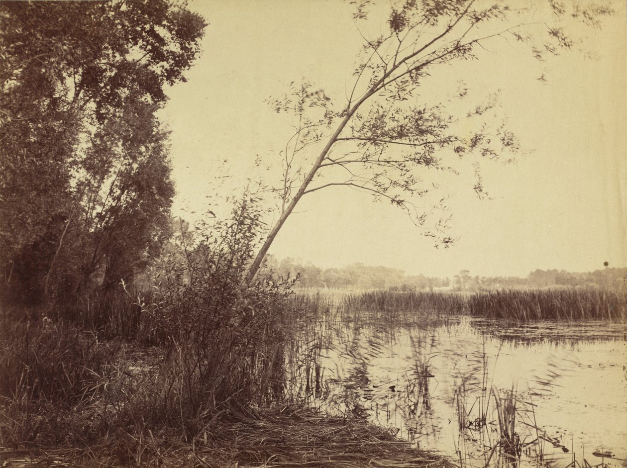  by Eugène Cuvelier