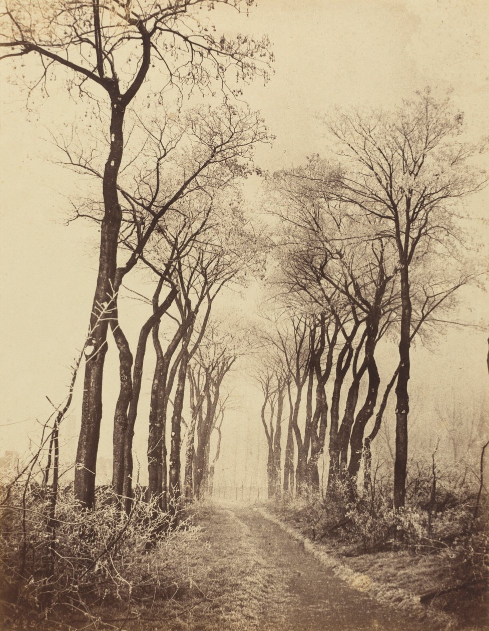  by Eugène Cuvelier
