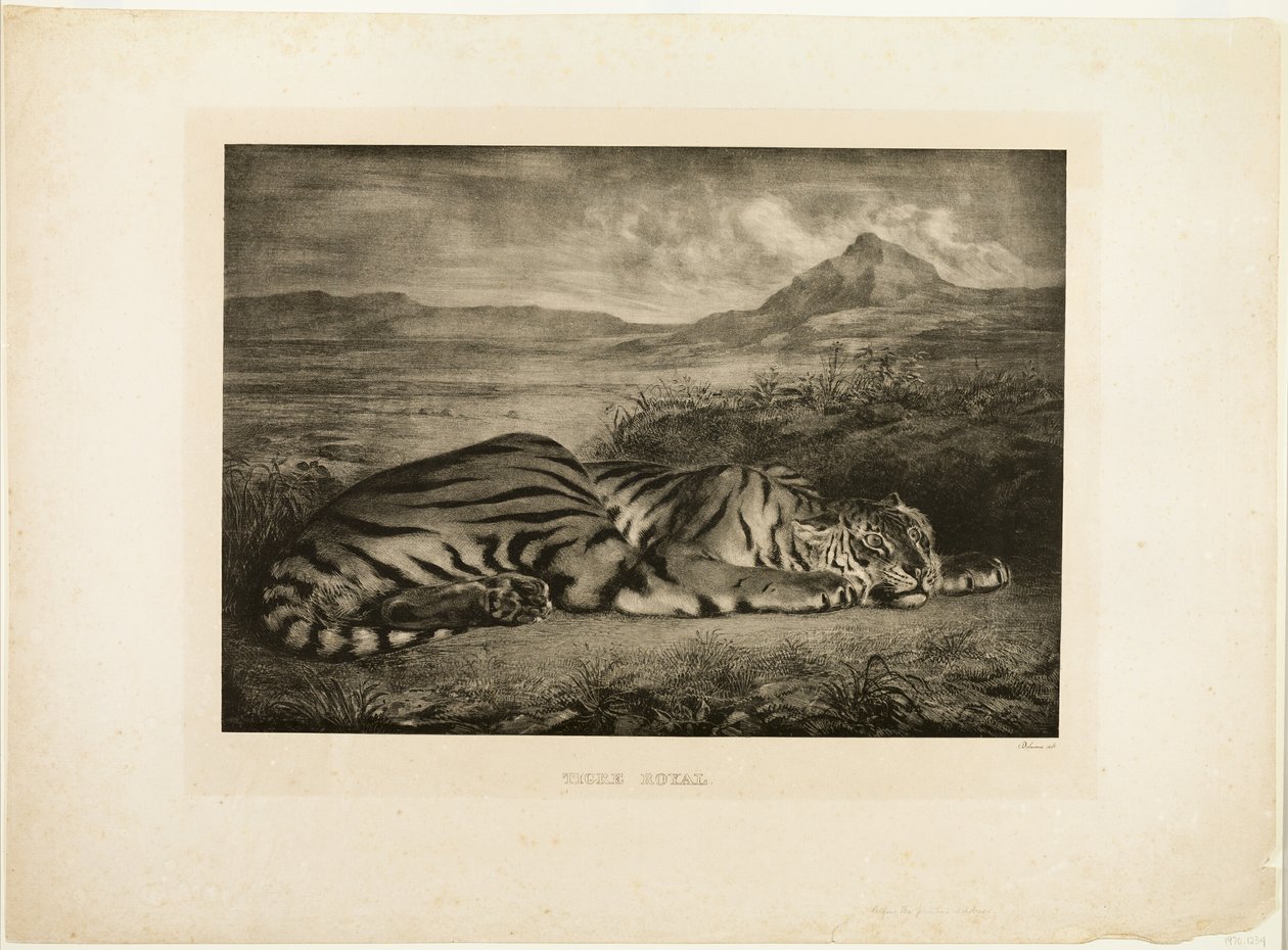 Bengal kaplanı by Eugène Delacroix