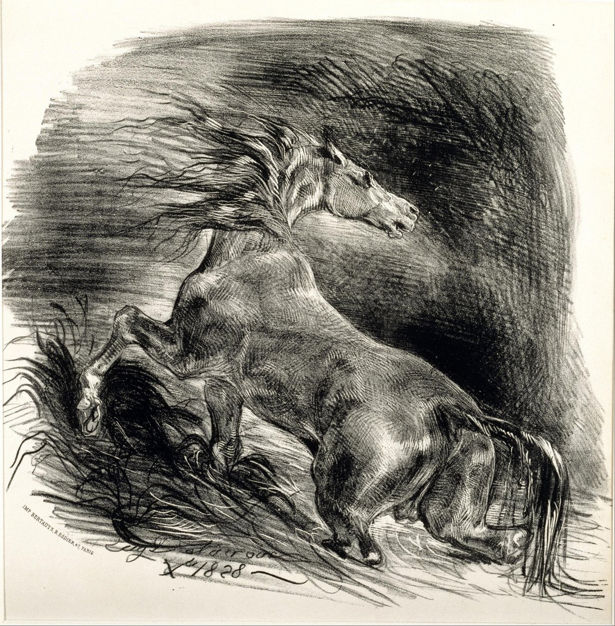 Vahşi at by Ferdinand Victor Eugene Delacroix