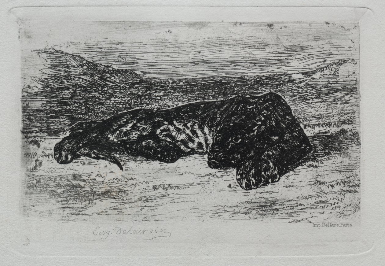 Çölde Çömelmiş Kaplan by Eugène Delacroix