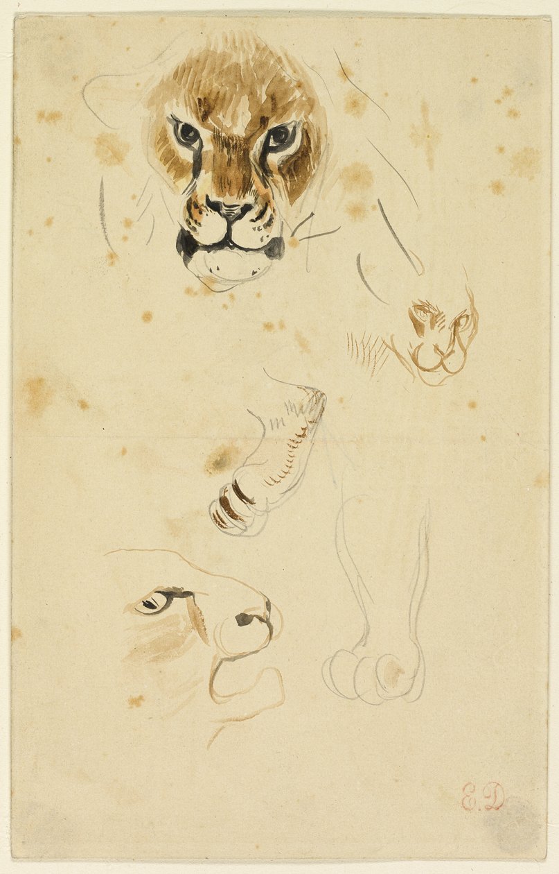  by Eugène Delacroix