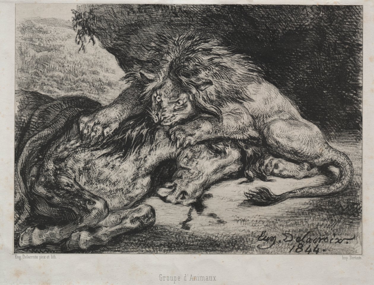 Atı Yiyen Aslan by Eugène Delacroix