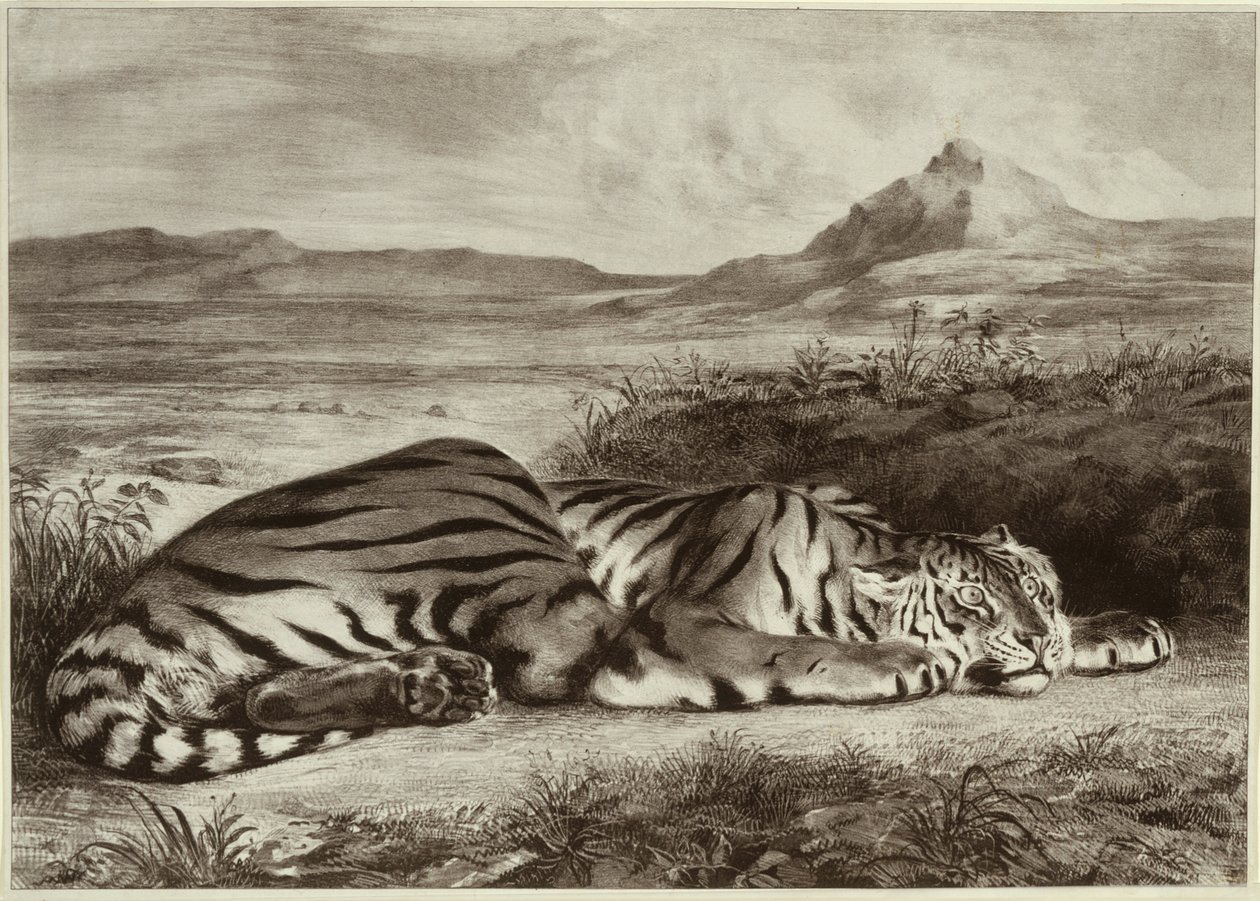 Kraliyet Kaplanı by Eugène Delacroix