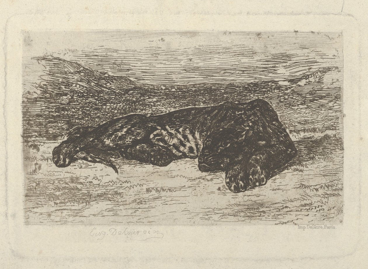 Çölde Yatan Kaplan, 1846 ., 1846 . by Eugène Delacroix