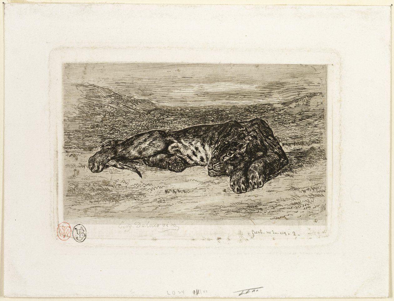 Çölde Dinlenen Kaplan by Eugène Delacroix