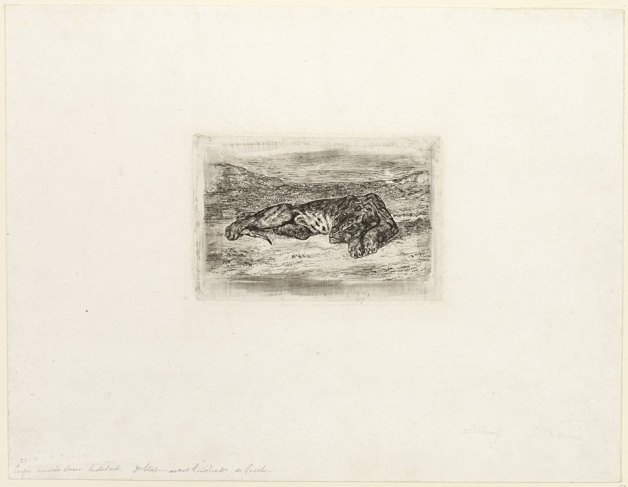 Çölde Dinlenen Kaplan by Eugène Delacroix